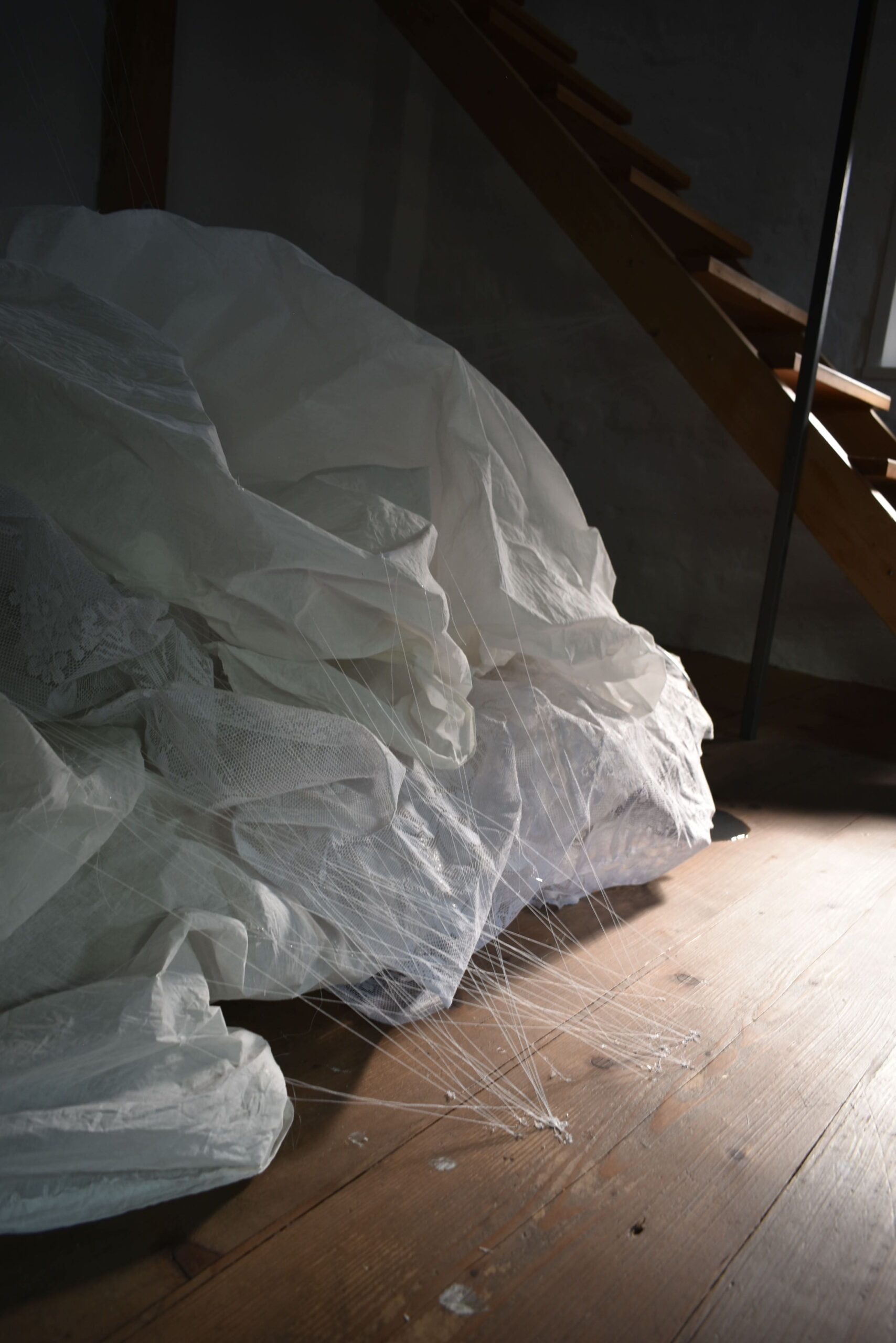 barbara_gocnikova_cocoon_23
